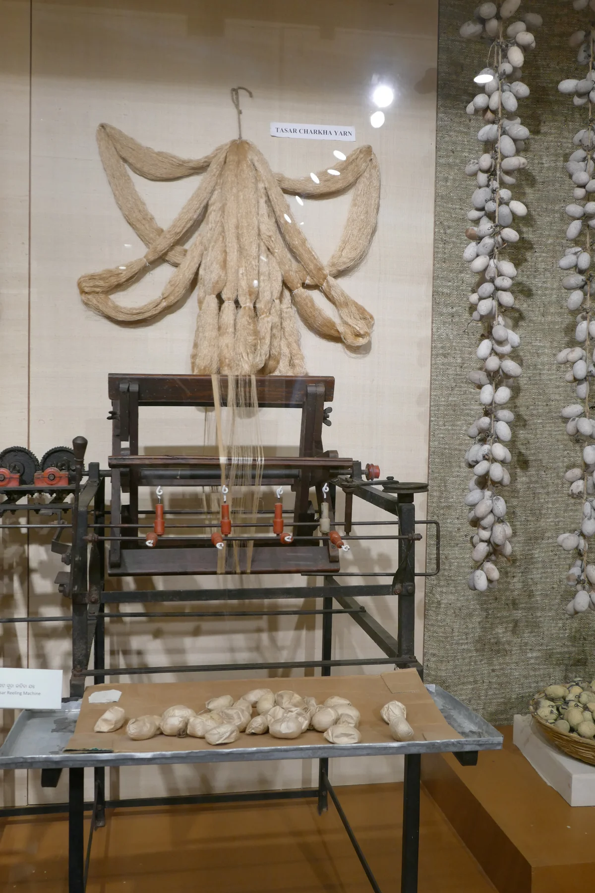 Golden-beige yarn hanging above a reeling machine beside a column of cocoons in a museum display